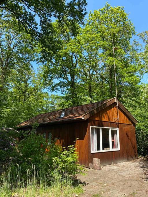 Basic Natuurhuisje Ommen/Beerze 빌라 외부 사진